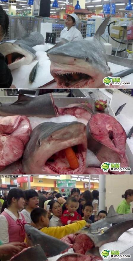 대륙수산 이미지